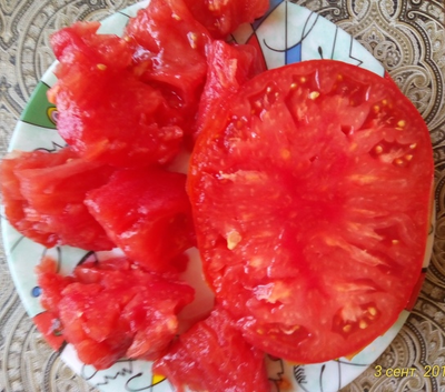 Томат Плоские сердца минусинские