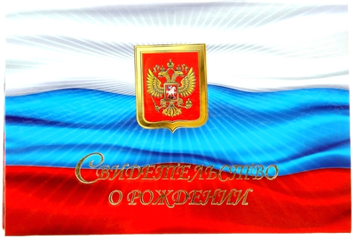 Папка "Свидетельство о рождении", МИКС (старый формат)