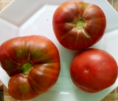 Томат Брендивейн черный  (Brandywine Black)