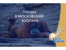 Поездка в Московский зоопарк