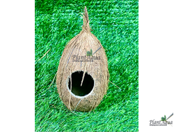 FF Cocos Cava 1/1SM - Укрытие декоративное из кожуры кокоса 6-10 см (целый)