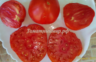 Томат Джильдо Пиетробони (Gildo Pietroboni)