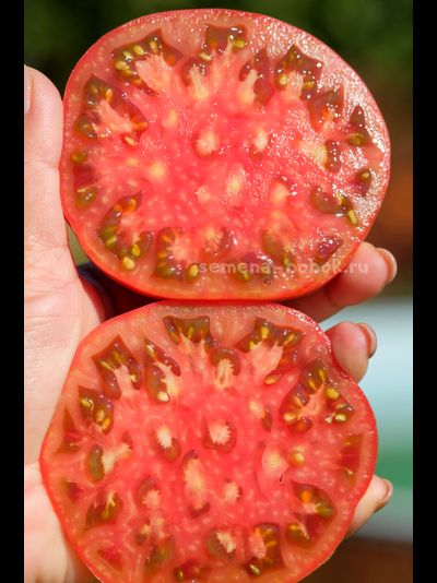 Томат Cowboy (Ковбой), 10 шт