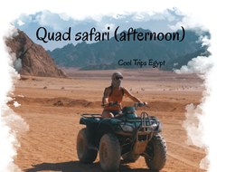 Quad safari in the afternoon (3 hours program) (El Quseir, Port Ghalib, Marsa Alam)