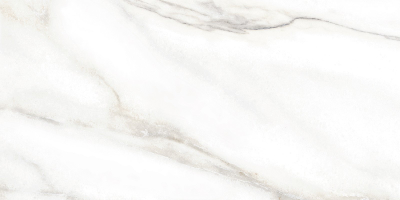 Настенная плитка Alma Ceramica TWU2550EPH04 249x500