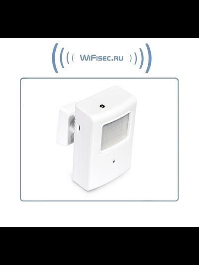 Охранная IP WiFi-LAN видеокамера с ночным видением и аудиоканалом (корпус ИК датчика), встроенный DVR. HD (Pro Ezcam)