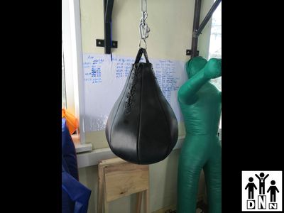 Груша боксерская из натуральной кожи свыше 2,0мм ( ГБН22-2) 8кг DNN