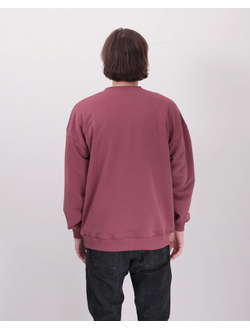 Толстовка Оверсайз Anteater Crewneck Amanita