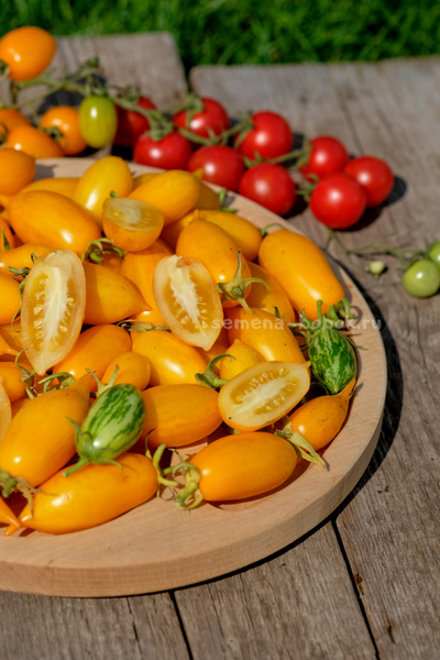 Томат Guinel Yellow (Гуинель жёлтый), 10 шт