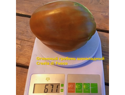 Томат Огненный гребень (Cresta di Fuoco) шоколадный, Италия