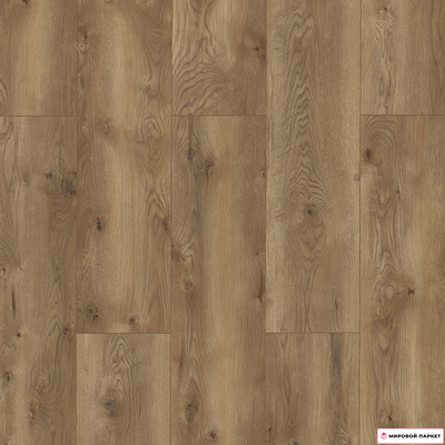 Ламинат Classen Evolution WR Дуб Альбиано 63127 33 класс толщина 8 мм с фаской 2.519 м2