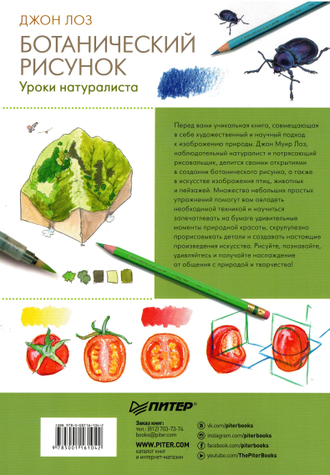 Tvorchestvo Botanicheskij Risunok Uroki Naturalista