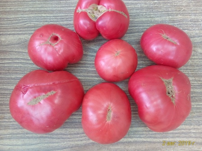 Томат Бравый генерал