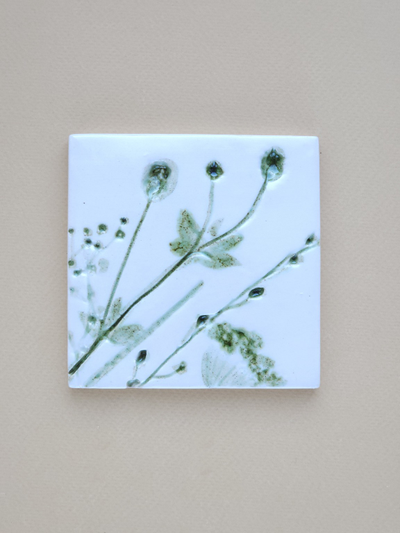 Ястребиночка // 10*10