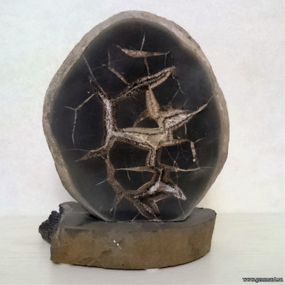 Септария - полированный спил "Джигит"