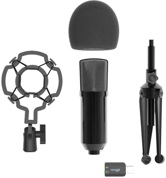 Штативный микрофон Ritmix RDM-160 USB (черный)