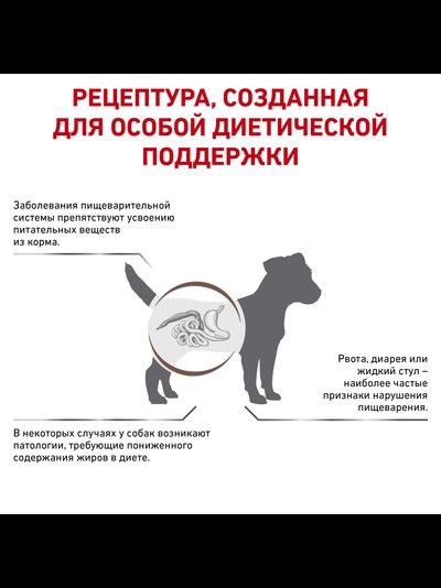 Royal Canin (Роял Канин) Gastrointestinal Low Fat Small Dog сухой корм для собак мелких пород при заболеваниях ЖКТ, 3 кг