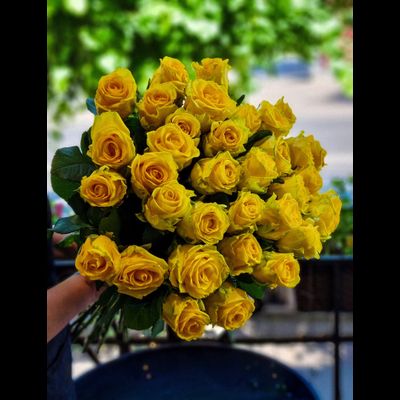 Роза Россия 60 см 35 шт