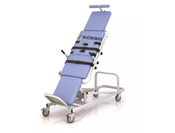 Вертикализатор поворотный с обратным наклоном с электроприводом