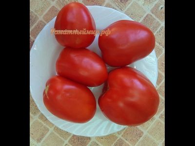 Томат Де Барао красный волгоградский (усл.)