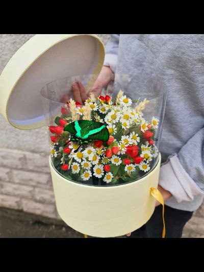 Ромашки с бабочками №92