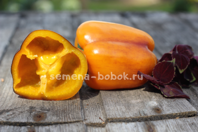 Перец сладкий Млечный путь, 10 шт.