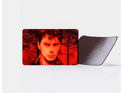 Магнит виниловый Сектор Газа, Юрий Хой №19