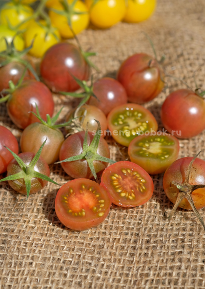 Томат черри Икра Черная, 10 шт