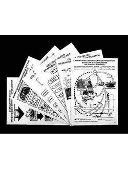 Комплект таблиц по экологии "Экосистема-экологическая единица окружающей среды" (ламинир, А4,12шт)