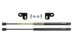 Амортизаторы капота, 2 шт. Pneumatic для Skoda Rapid 2014-