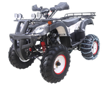 Квадроцикл WELS ATV Thunder 200 Lux