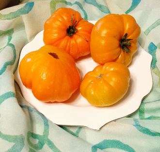 Семена томата Ранний оранжевый Розали