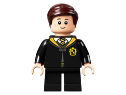 Harry Potter - Gryffindor Robe Open, Black Short Legs, Grin / Scared Head, n/a (hp314)