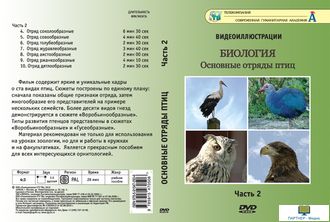 Основные отряды птиц. Часть 2 (7 сюжетов, 26 мин), DVD-диск