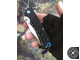 Складной нож Strider - Buck PE - 666