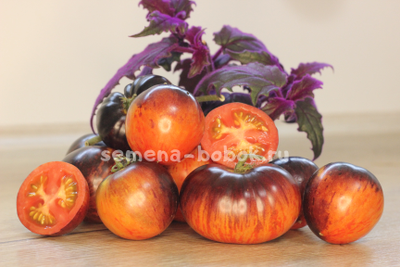 Томат Королева ночи (Koenigin der Nacht), 10 шт.