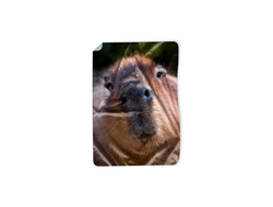 Покрывало Капибара, Kapibara-san №14