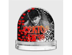 Водяной шар Сектор Газа, Юрий Хой №8