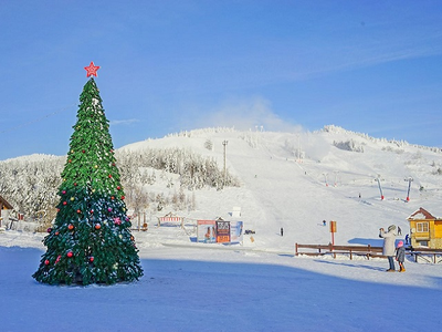 Хвалынск "Термы. Лыжи. Мёд"