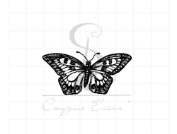 Штамп с рисованной бабочкой