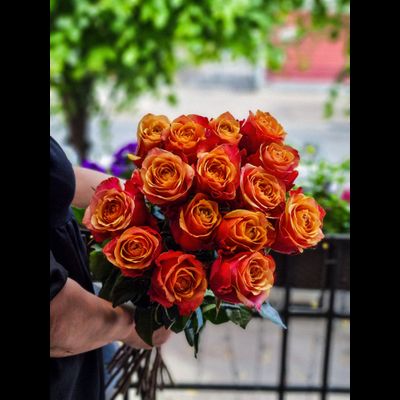 Роза Эквадор 70 см 15 шт