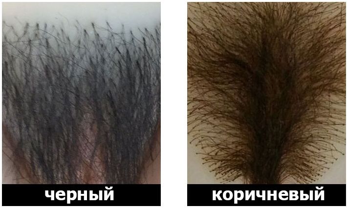 цвет волос для секс кукол