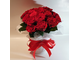 25 красных роз в шляпной коробке "Рафаэлло"