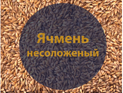 Ячмень несоложеный, 1 кг