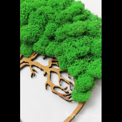 Живая Эко-Картина 1067