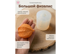 Молд "Большой физалис"