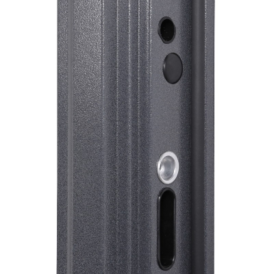 Стальная дверь    Беркут с зеркалом