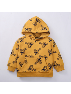 Свитшот утепленный на флисе LM-H50027