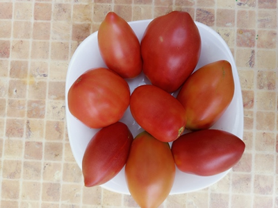 Томат Новозеландский розовый (New Zealand Pink Paste)