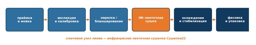 Технологическая цепочка переработки термолабильного сырья (схема)